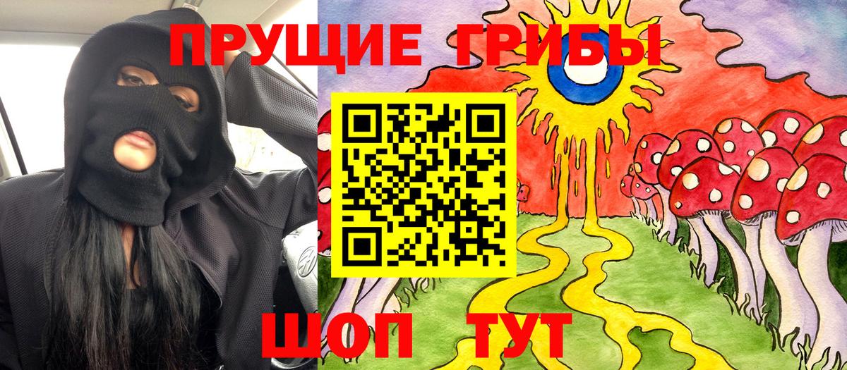 Азнакаево  Псилоцибиновые грибы ЛСД  Галлюциногенные грибы Psilocybe  наркошоп  Вход с VPN 